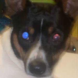 Meet your Posher, Sky